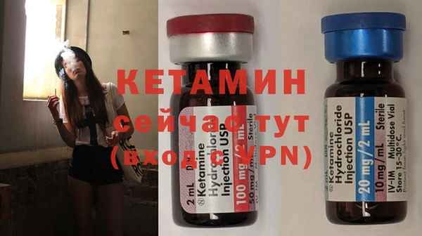 шишки Богородицк