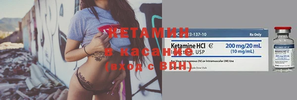 шишки Богородицк
