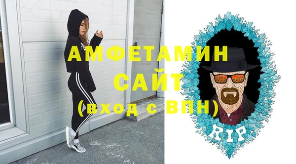 шишки Богородицк
