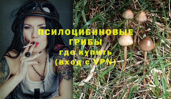 шишки Богородицк