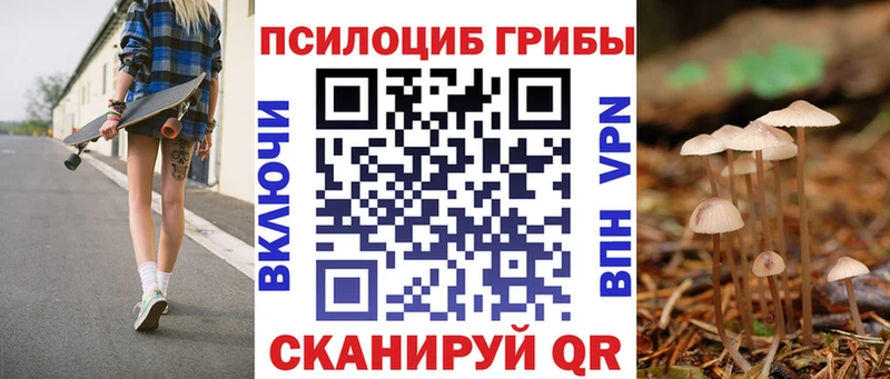 Псилоцибиновые грибы Magic Shrooms Касли